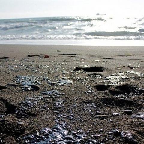 В МЧС заявили, что нефтяной выброс у берегов Крыма некритичен  